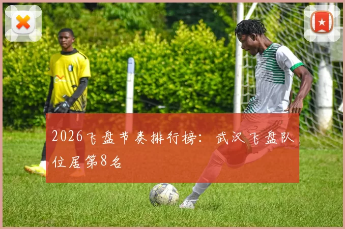 2026飞盘节奏排行榜：武汉飞盘队位居第8名