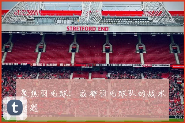 聚焦羽毛球：成都羽毛球队的战术话题