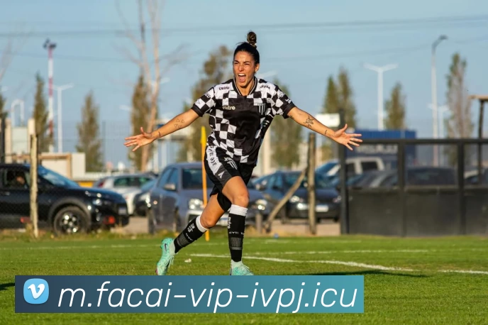 乐鱼体育服务体系