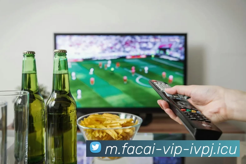 多媒体互动体验